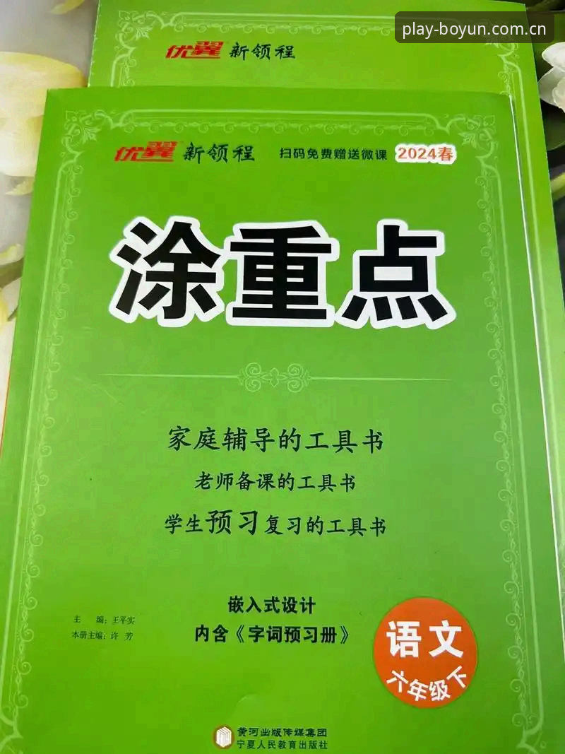 博云2024版全面解析：3大核心升级、5步安装指南与7项使用建议
